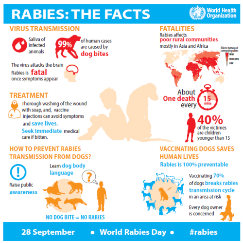 WHO's new global framework: How to eliminate Rabies - DailyRounds