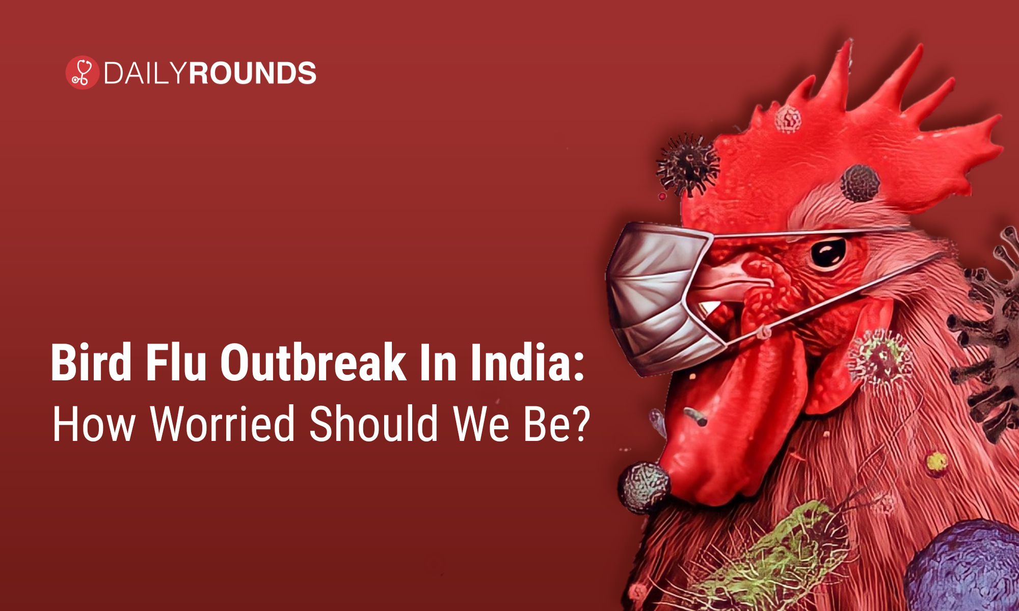 Bird Flu Outbreak In India How Worried Should We Be? DailyRounds