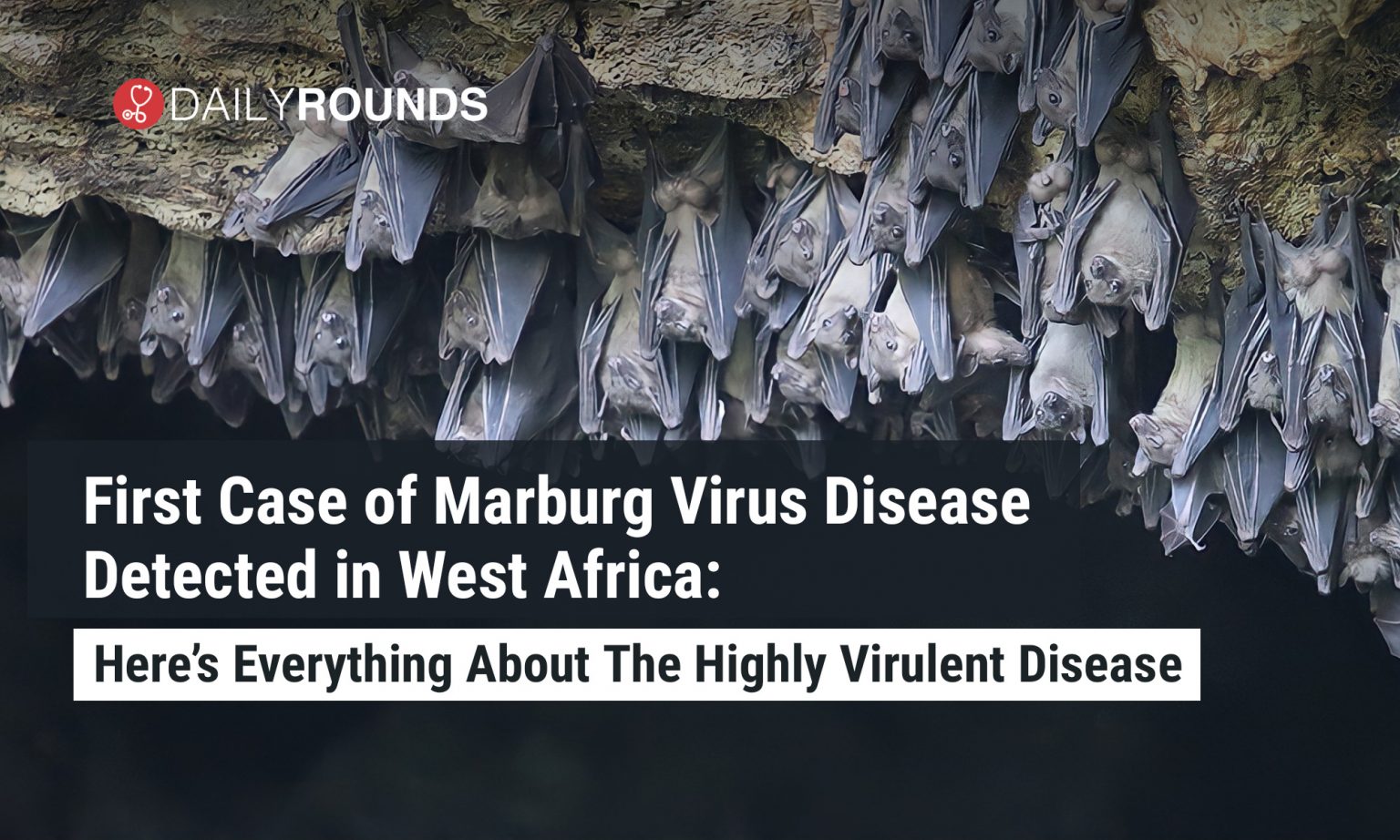 First Case of Marburg Virus Disease Detected in West Africa Here’s